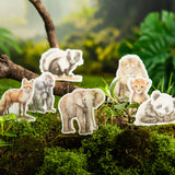 50pcs sticker pack Animal United (S080911)