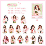 30pcs sticker pack Fell into Flowers girl (S080910)