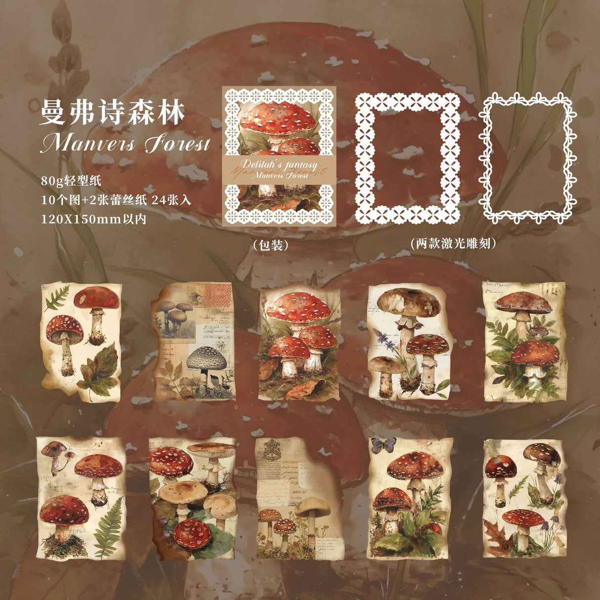 24pcs paper pack (p100105)